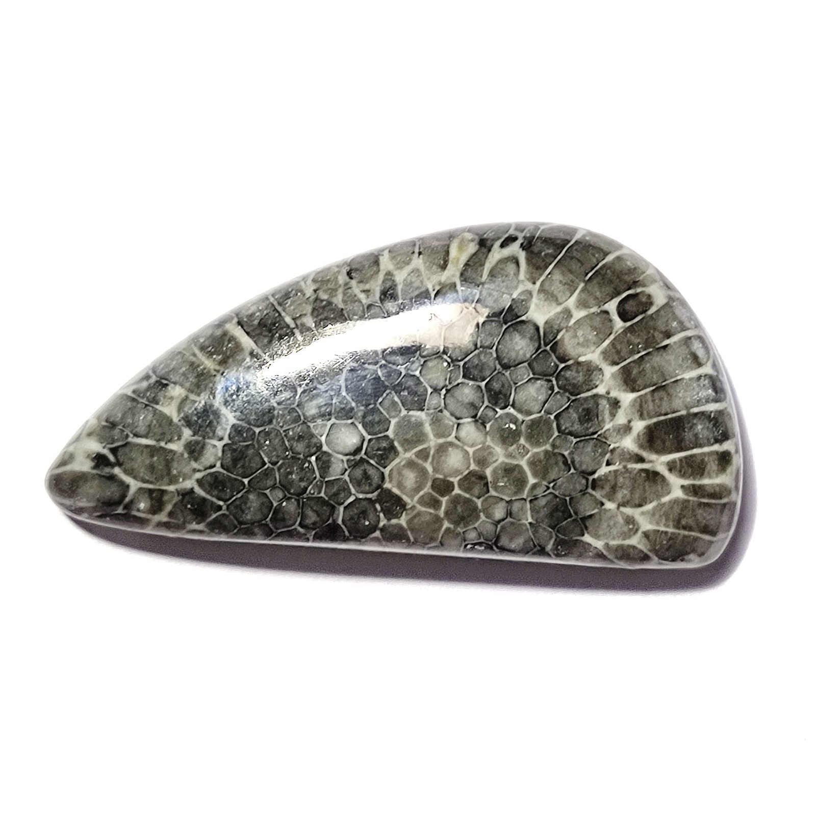Primary image for 29.51 Carats TCW 100% Natural Beautiful Black Fossil Coral Fancy Cabochon Gem by