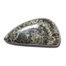 29.51 Carats TCW 100% Natural Beautiful Black Fossil Coral Fancy Cabochon Gem by - £12.48 GBP