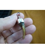 (g175-1) 1-1/4&quot; GATOR Alligator claw toe 925 SILVER CAPPED pendant JEWELRY - $45.64 CAD