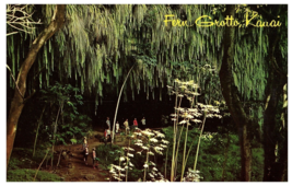 Kauai&#39;s Fern Grotto When People Could Walk Inside Hawaii Postcard 1968 - £4.70 GBP