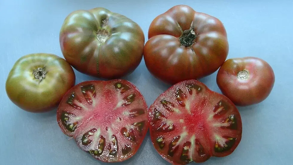 50 Seeds Wild Fred Tomato Vegetable Canning Fresh Seeds USA Seller - £9.66 GBP