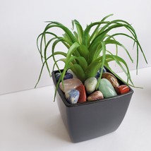 Faux Air Plant with Natural Polished Stones in Planter, Tumbled Rocks, Airplant image 3