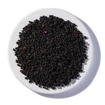 5 lbs. Organic Elderberry Whole, Wild Crafted Sambucus nigra - $139.99