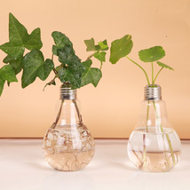 Bulb Glass Vase,  Water-grown Plant Vase, Hydroponic Plant Vase, Home Decor - £15.92 GBP+