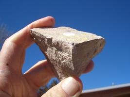 JTL:  JURASSIC TODILTO LIMESTONE URANIUM 31,000 CPM  5.8 oz.  $25.00 +$9... - $25.00