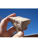 JTL:  JURASSIC TODILTO LIMESTONE URANIUM 31,000 CPM  5.8 oz.  $25.00 +$9... - $25.00