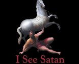 I See Satan Fall Like Lightning [Paperback] Rene Girard and James G. Wil... - £7.64 GBP