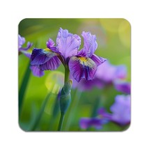 2 PCS Flower Iris Coasters - £11.63 GBP