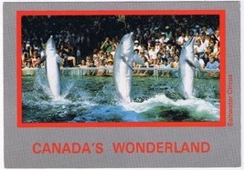 Postcard Dolphins Walking On Tails Canada&#39;s Wonderland 4 3/4&quot; x 6 1/2&quot; - £3.88 GBP