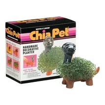 Chia Pet Planter- Dinosaur - £20.03 GBP