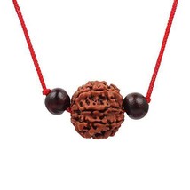 7 Mukhi Nepali Rudraksha with Red Chandan Beads - $17.62