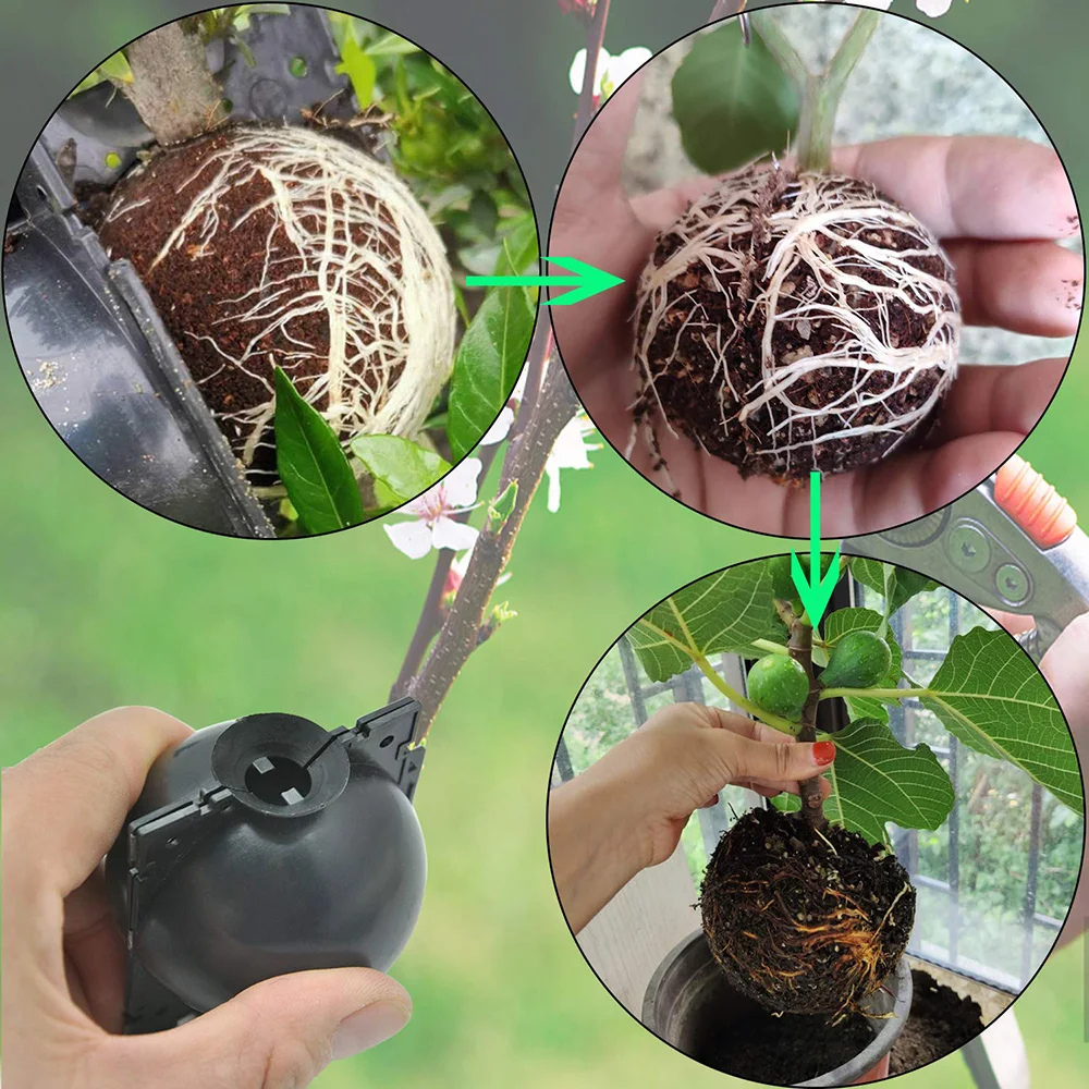House Home For Garden 6Pcs Plant Grafting Rooting Balls Reusable Root Growing Ba - £26.07 GBP
