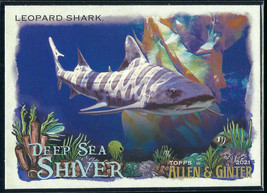 2021 Topps Allen &amp; Ginter #DSS-12 Leopard Shark Deep Sea Shiver Insert - £1.36 GBP