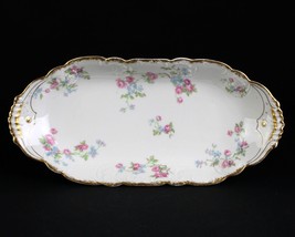 Haviland Limoges Schleiger 461 Pink Roses Blue Floral Celery Tray, Blank... - £137.29 GBP