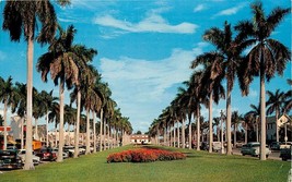 Chrome FL Postcard E045 Palm Beach Royal Poinciana Way Palms Flowers Street View - £2.67 GBP