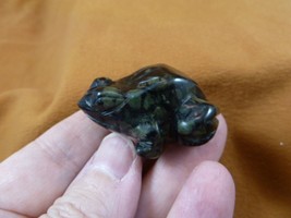 (Y-FRO-593) little Green black jasper FROG stone gemstone figurine I lov... - $18.69