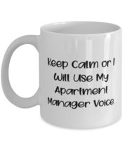 Apartment manager Gifts For Coworkers, Keep Calm or I Will Use My Apartment, Gag - £11.70 GBP+