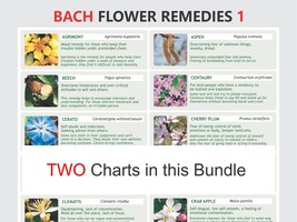 Bach Flower Remedies,  digital download PDF, rescue remedy, BFR essences, bach h - £4.74 GBP