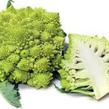 Romanesco Broccoli Seed Gardening USA Shipping - $10.00