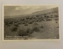 Buffalo In Horserock Valley Arizona Postcard RPPC - £11.57 GBP