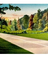 Greetings From Mexico Maine Postcard 1 Nature Landscape c1930s DWS5B - $364.42 MXN