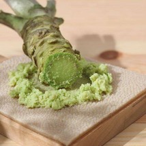 600 Japanese Horseradish Wasabi Seeds Mustard Seed Organic Heirloom - $4.11