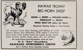 1961 Print Ad Hawaii Trophy Big Horn Sheep,Boar,Pheasant Hunting Kona - £6.32 GBP