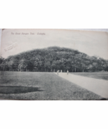 Vintage Post Card of: “The Great Banyan Tree, Calcutta” black and white ... - $15.00