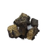 Gold Lodestones 1 Lb - $45.11