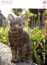 Midori Nakayama&#39;s Needle Felting Realistic CATS Post Card Art Book Japan - £67.05 GBP