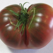 Fresh Seeds USA Seller Carbon Tomato Seeds Organic - £3.35 GBP