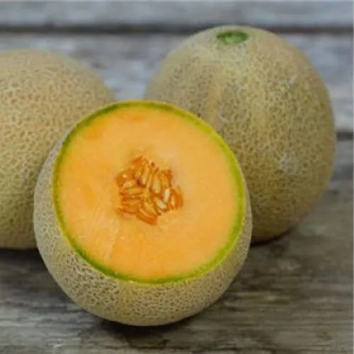 Planters Jumbo Melon Non Gmo Fresh Harvest 50 Seeds  - $9.60