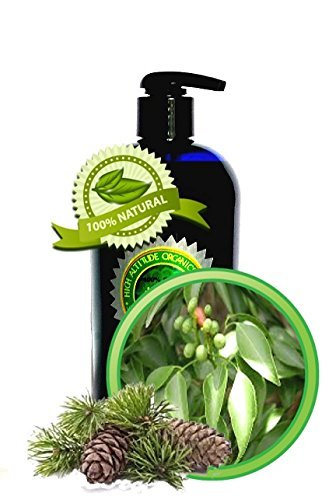 FOREST NIGHTS Massage Oil - 16oz