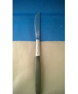 Interpur Stainless Modern Solid Knife 8 7/8&quot;  wood like handle INR2 Flat... - $9.53 CAD