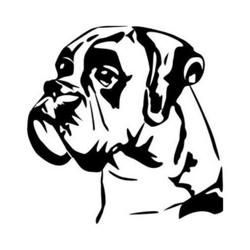 2x Boxer Dog Vinyl Decal Sticker Different colors & size for Cars/Bikes/Windows