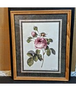 Rose Framed Flower Print Art 17 x 21 Pierre J Redoute Home Decor Botany ... - £15.82 GBP