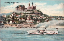 ZAYIX Steamboat and Süllberg Hill Castle Blankenese, Hamburg, Germany c1911 - £31.35 GBP