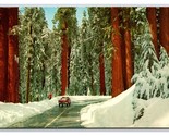 Generals Highway Sequoia National Forest California CA UNP Chrome Postca... - $3.91