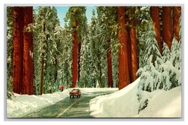Generals Highway Sequoia National Forest California CA UNP Chrome Postcard S25 - £3.07 GBP