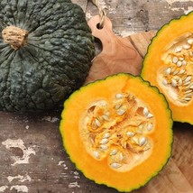 Marina De Chioggia Winter Squash Seeds Zucca Barucca Fresh Fast Shipping - $3.78