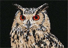 Pepita Needlepoint Canvas: Owl Head, 10&quot; x 7&quot; - £39.50 GBP+