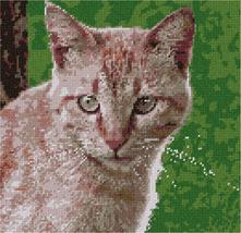 Pepita Needlepoint Canvas: Ginger Cat, 10&quot; x 10&quot; - $78.00+