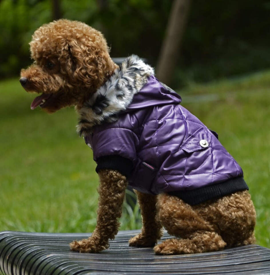 Warm Hooded Fashionable Dog Coat - $23.95
