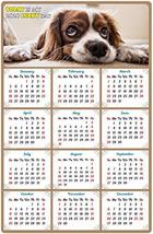 2020 Magnetic Calendar - Calendar Magnets - Today is My Lucky Day - Dog ... - $8.86