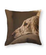 Mondxflaur Dog Decorative Pillow Case Covers for Couches and Sofas Polye... - $15.07 CAD+
