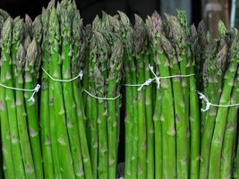 Asparagus Seeds - Mary Washington Variety - Organic &amp; Non Gmo Asparagus Seeds -  - £2.80 GBP