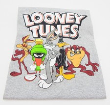 Looney Tunes Warner Bros Gray T-Shirt Delta Pro Weight Unisex Sz XL - $18.99