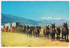 Postcard Twenty Mule Train In The Desert - $3.95