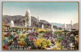 Yucca&#39;s In Bloom CA Fred Martin Hand Colored Gilded Photo Postcard I30 - £10.19 GBP