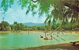 Stuarts Draft Va Virginia~Shenandoah Acres RESORT-SWIMMING Lake~Vintage Postcard - £4.69 GBP